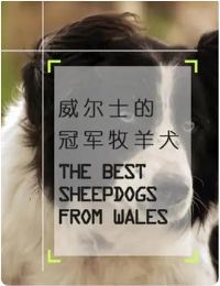 ����ʿ�Ĺھ�����Ȯ