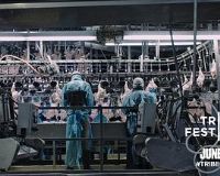 ���ӿ��룺ʳ��ĳ�ª����