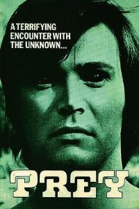 �����׿�