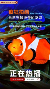 ����ĵ�����Ȼ�������������