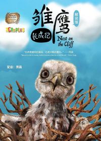 ��ӥ���ɼ�