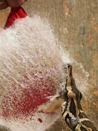 �������֣����νܶ�������һ��̽Ѱ�������