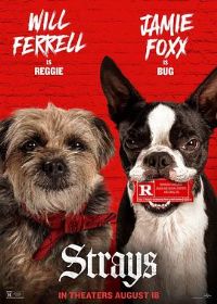 ��������[��Ӱ��˵]