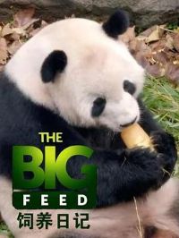 �����ռǵ�һ��