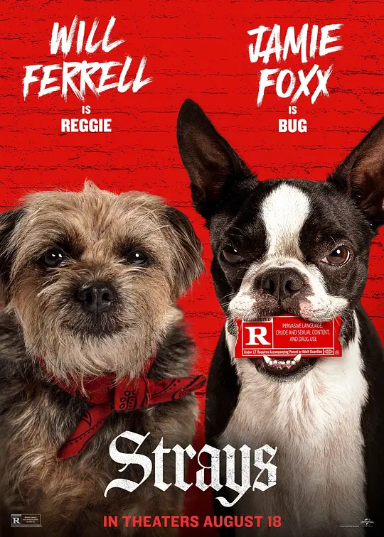 �������ˡ�Ӱ�ӽ�˵��